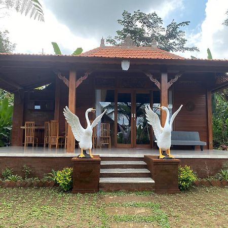 Lembah Cinta Mayungan Baturiti Exterior foto