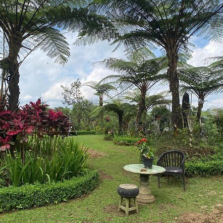 Lembah Cinta Mayungan Baturiti Exterior foto