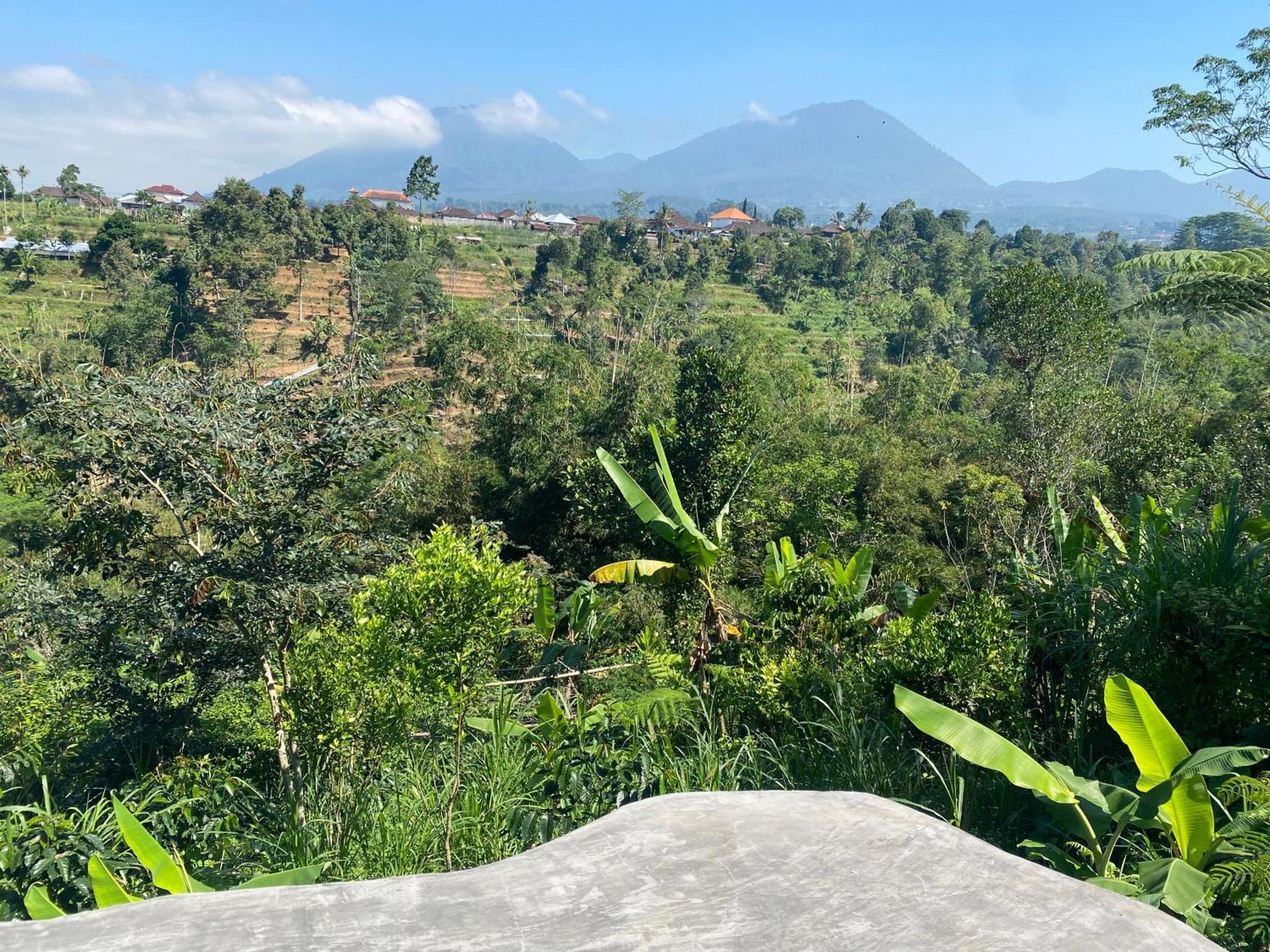 Lembah Cinta Mayungan Baturiti Exterior foto