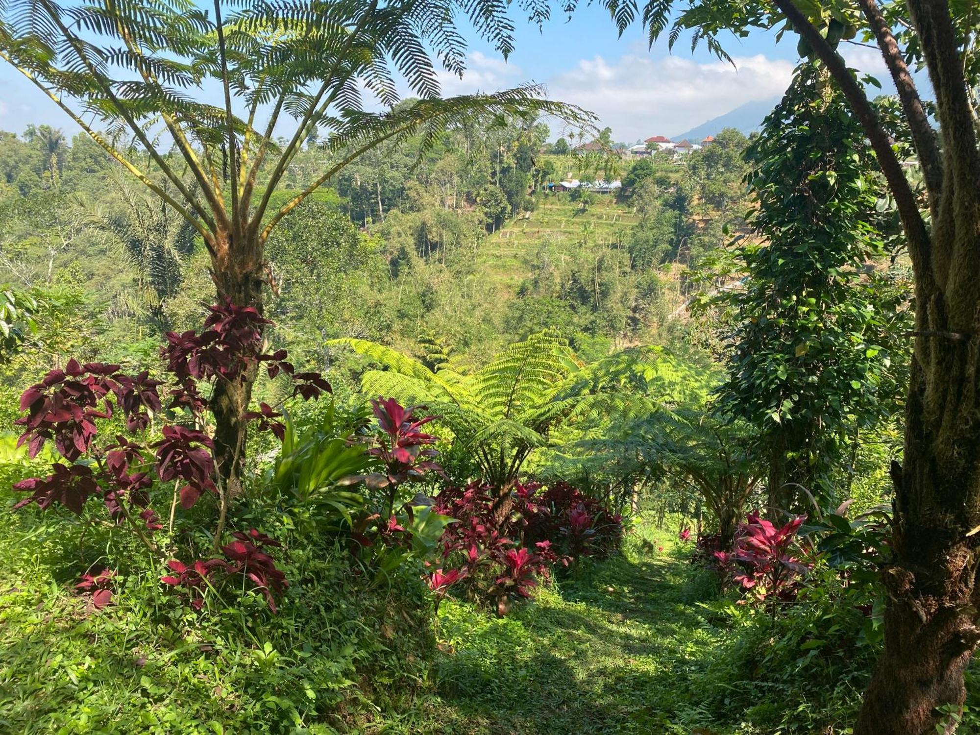 Lembah Cinta Mayungan Baturiti Exterior foto