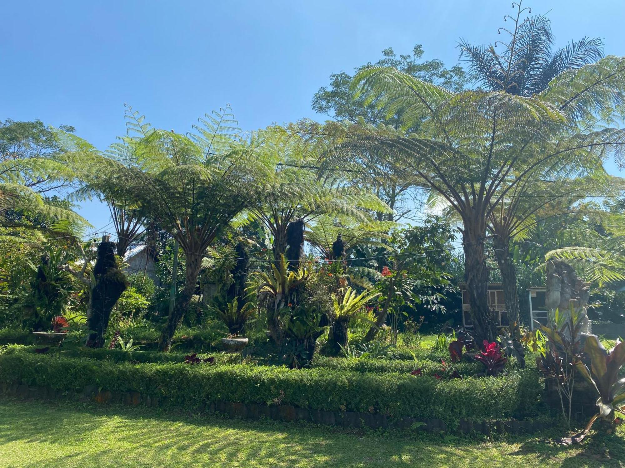 Lembah Cinta Mayungan Baturiti Exterior foto