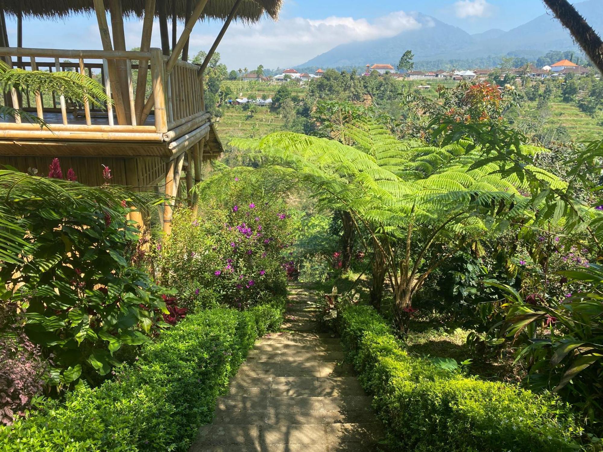 Lembah Cinta Mayungan Baturiti Exterior foto