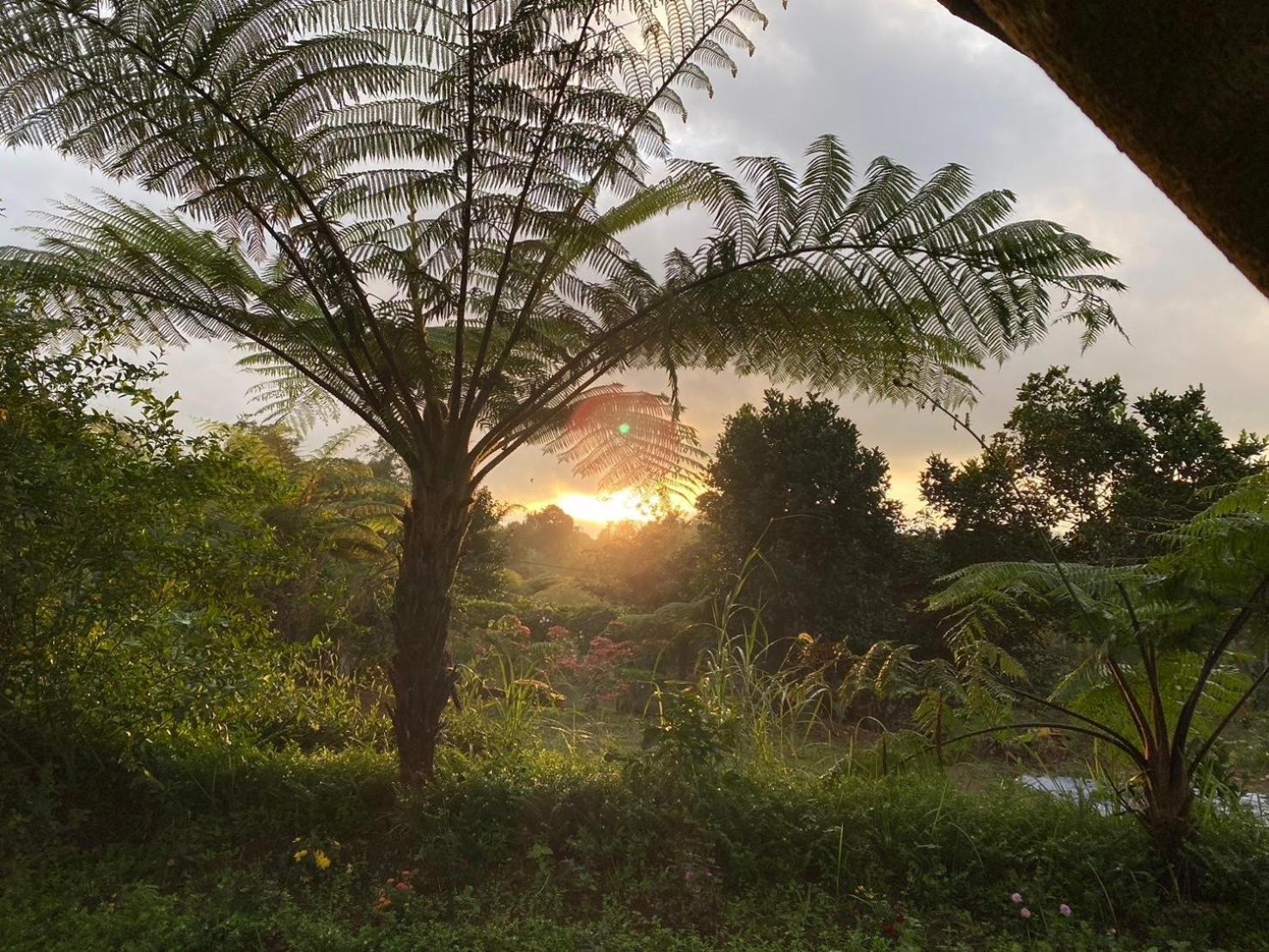 Lembah Cinta Mayungan Baturiti Exterior foto