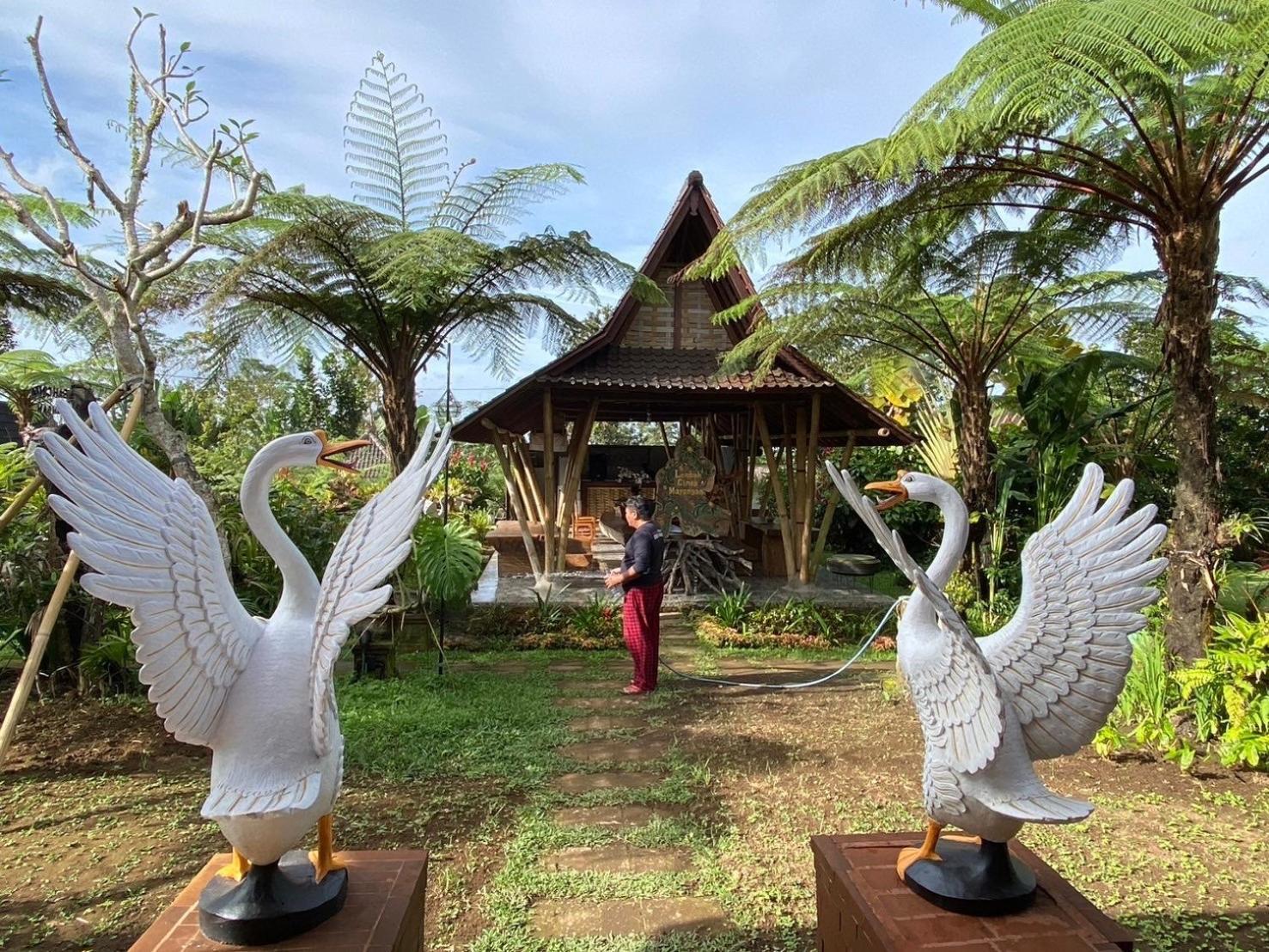 Lembah Cinta Mayungan Baturiti Exterior foto