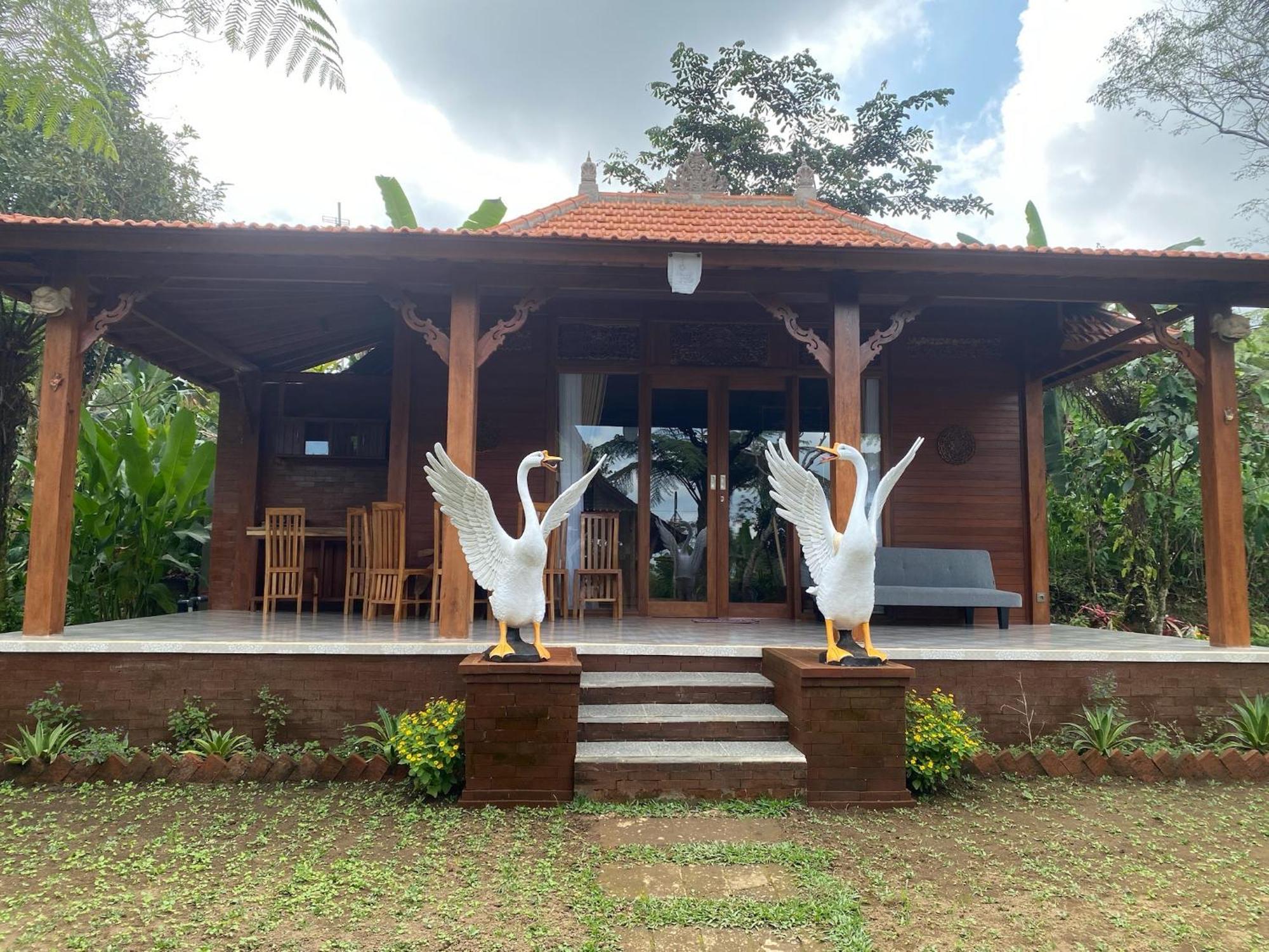 Lembah Cinta Mayungan Baturiti Exterior foto