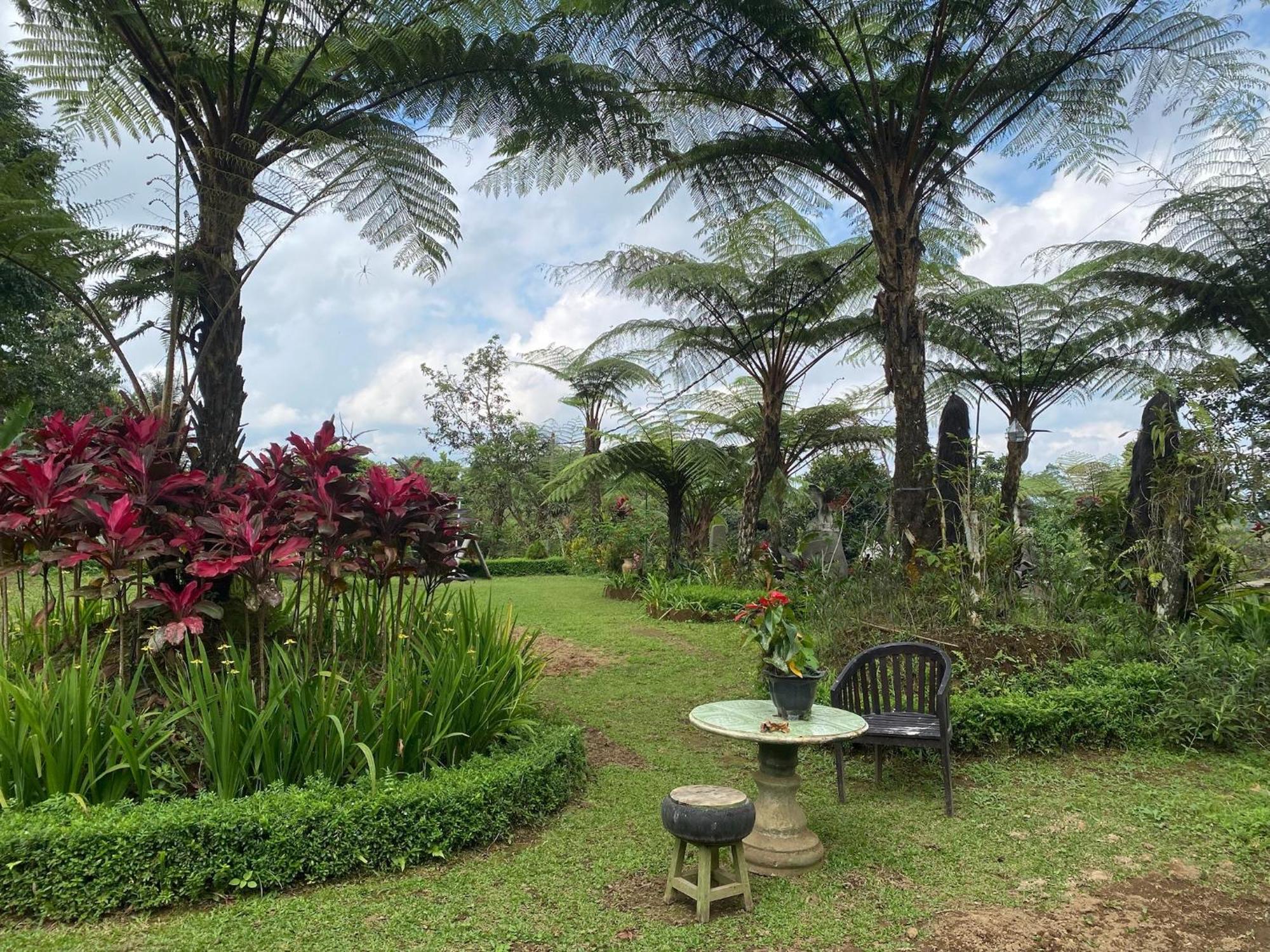Lembah Cinta Mayungan Baturiti Exterior foto
