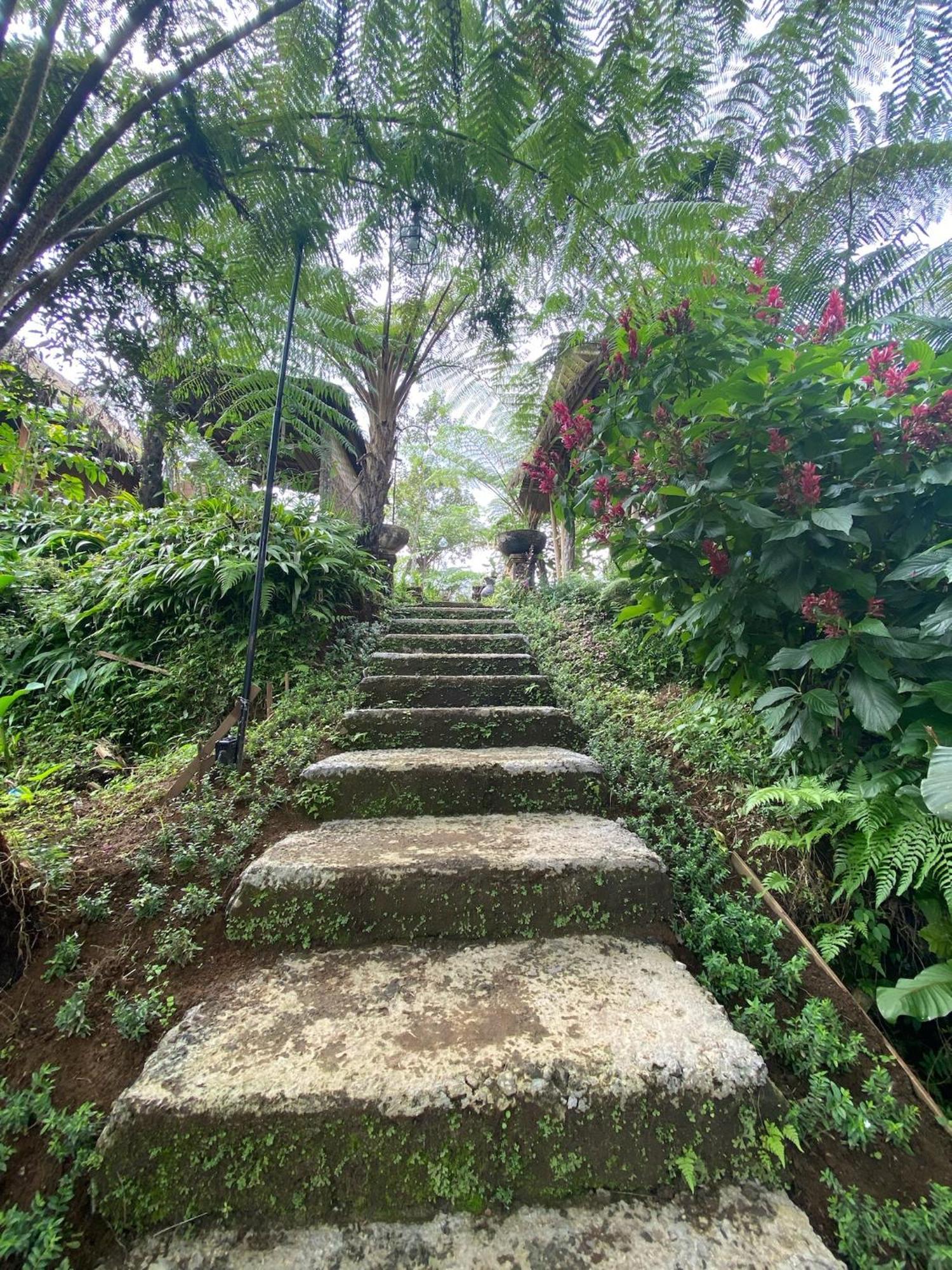 Lembah Cinta Mayungan Baturiti Exterior foto