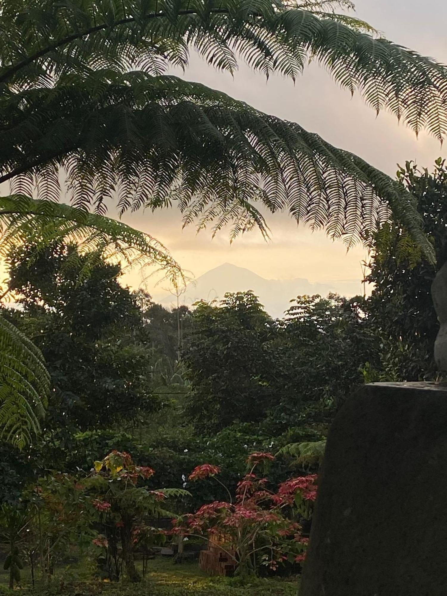 Lembah Cinta Mayungan Baturiti Exterior foto