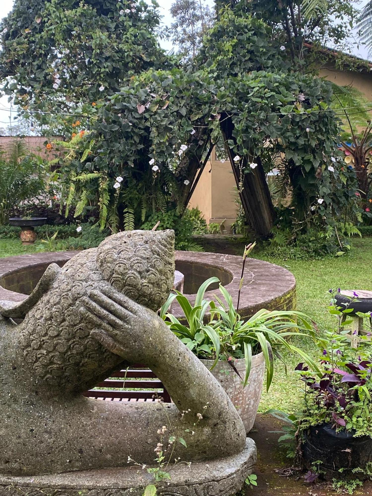 Lembah Cinta Mayungan Baturiti Exterior foto